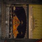 Vraj-Yatra-2014- (1477)